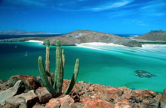 CRUCEROS LA PAZ MEXICO BAJA CALIFORNIA MAR DE CORTE CRUISES MEXICO MEJICO CRUCEROS CALIFORNIA CRUISES SEA OF CORTEZ BAJA CALIFORNIA CRUISES